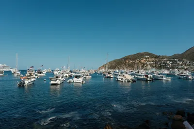 Catalina Island, frame 011